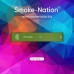 Smoke-Nation Disposable Smoke Bar -  Mint Breeze Flavour 5% Nicotine