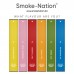 Smoke-Nation Disposable Smoke Bar -  Diced Pineapple Flavour 5% Nicotine